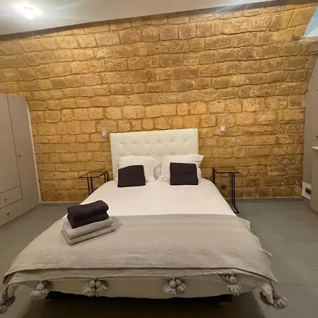 Daire Superbe Loft Au Coeur De